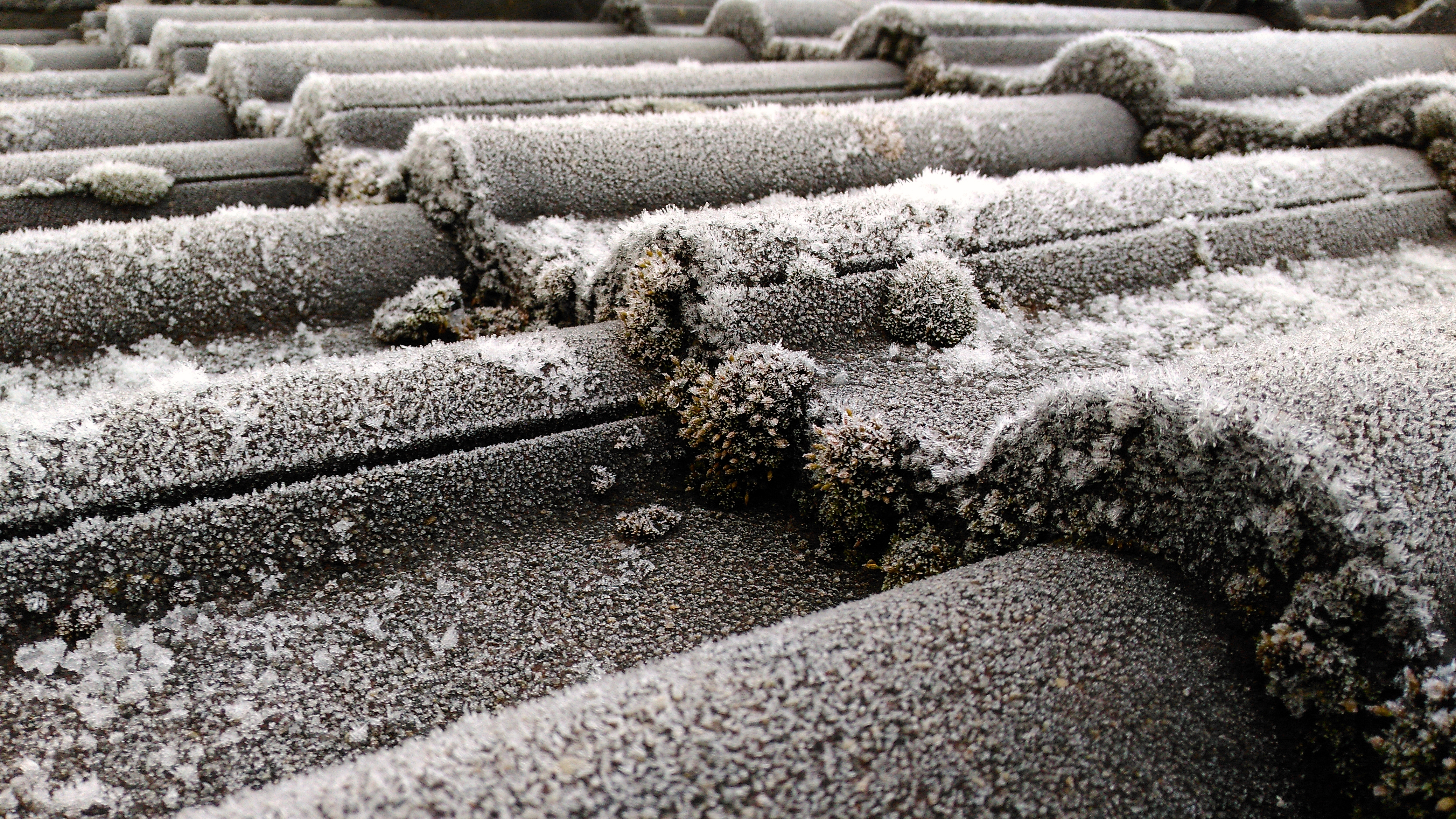 Close-up of hoarfrost on concrete roof tiles with moss in winter.